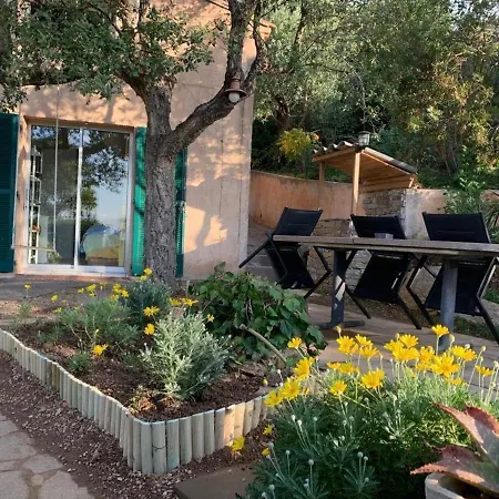 Maison Renovee 3 Avec Piscine Privee - Fr-1-726-7 La Croix-Valmer
